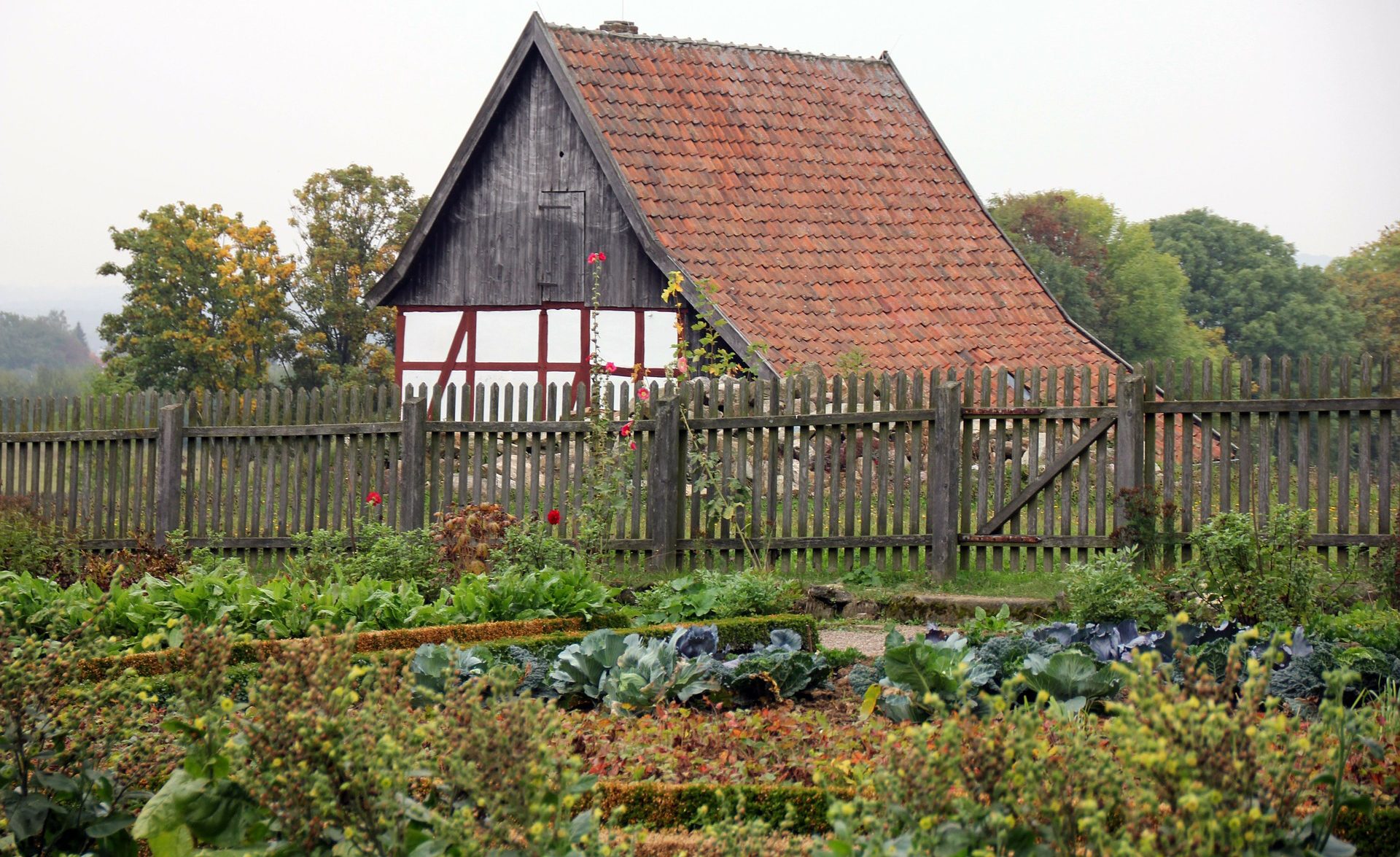 Starting a Vegetable Garden