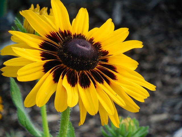 Introduction into Deadheading