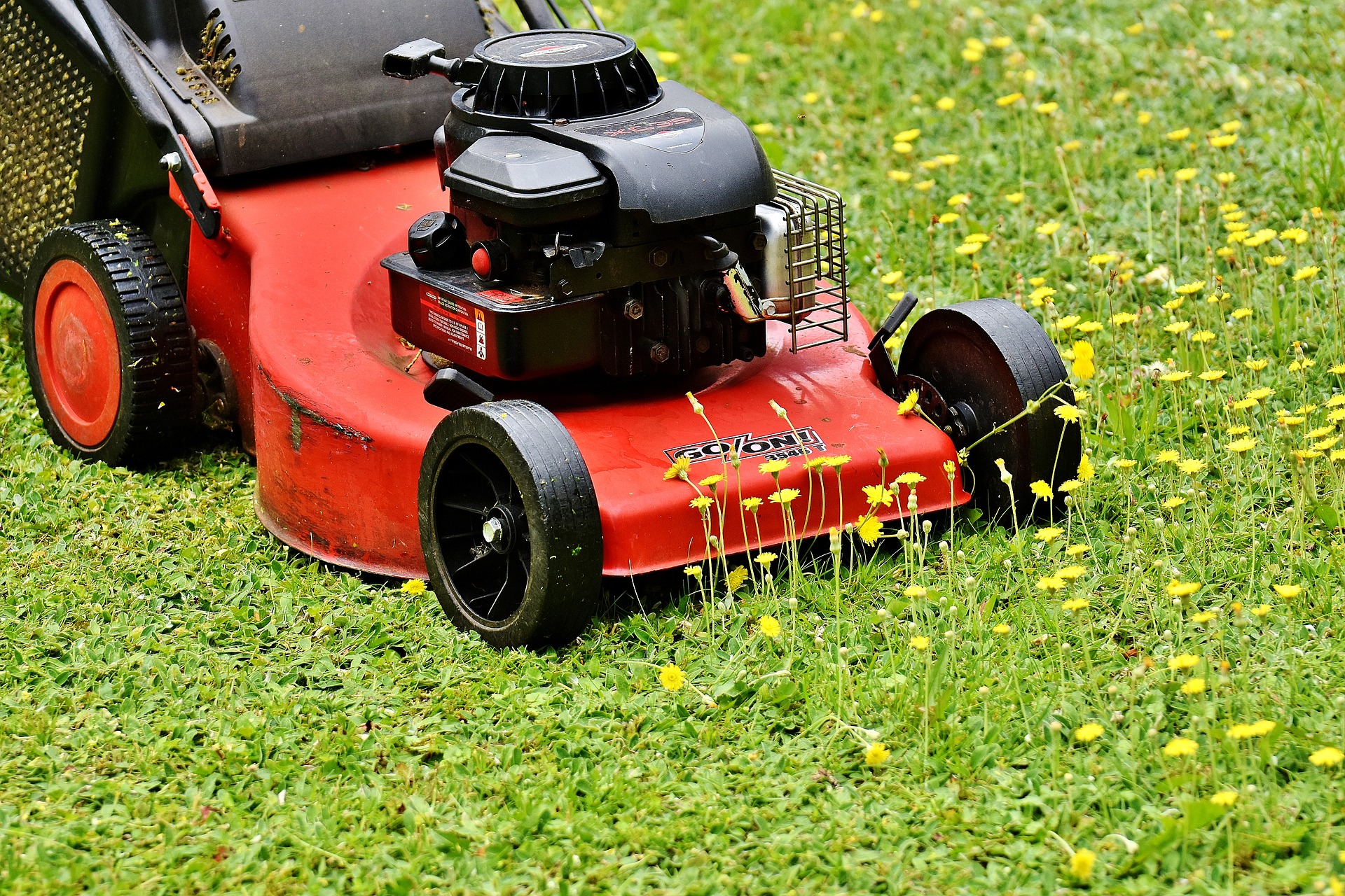 7 Tips for Mowing your Lawn